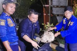 Evakuasi Gangguan Hewan Berbahaya Di Pengadilan Agama Ngawi
