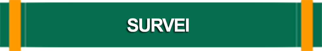 survei button